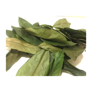 ราคาถูกที่สุดในตลาดสำหรับใบฝรั่งแห้งส่งออกเวียดนาม - ใบผลไม้กราเวียโลล่าแห้ง คุณภาพดีที่สุดสำหรับขาย - Product Image 1