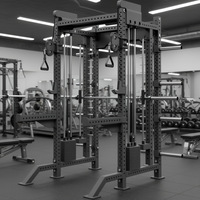 Système de musculation à domicile French Fitness : Cage de musculation fonctionnelle Smith, machine à câble pour barre de 83 pouces de hauteur, pour la force de tout le corps, en acier