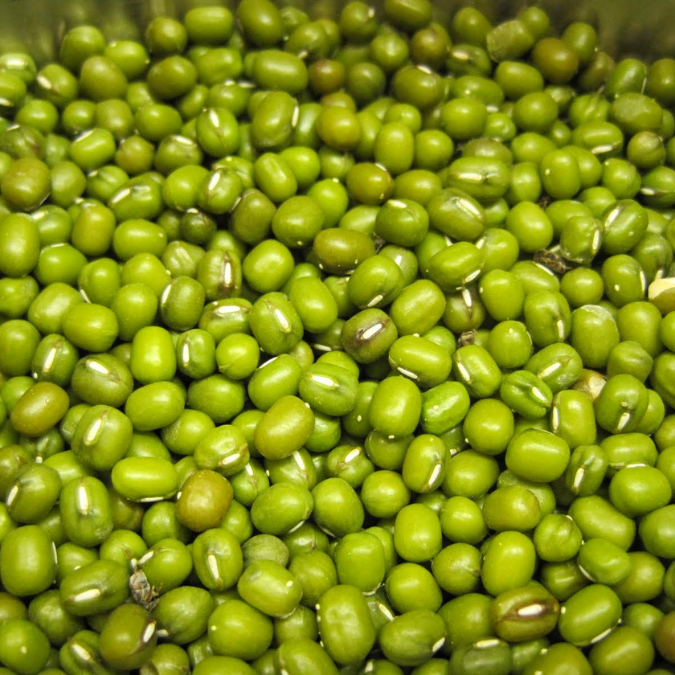 Frijol mungo verde/Frijoles mungo Vigna de primera calidad/Frijoles mungo naturales verdes para exportación