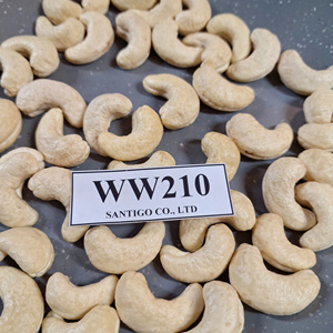 เม็ดมะม่วงหิมพานต์คาจู WW210ซันทิโกถั่วและเมล็ดถั่วแห้งนำสั้น - Product Image 1