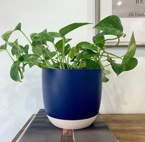 Pot de fleurs en céramique bleu bicolore classique, durable, décoratif pour intérieur, élégant et minimaliste, accent de style pour la maison - Product Image 1