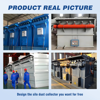 Filtro de ventilación para silo, colector de polvo para cemento en polvo y cenizas volantes, filtración de polvo para ventilación de silos, personalizado