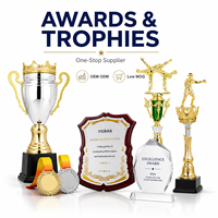 Trophées sportifs en plastique personnalisés en gros, récompenses en colonne pour la boxe, le karaté, le taekwondo
