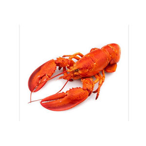 Homards frais congelés, homards crus, homards vivants avec la plus haute qualité d'exportation - Product Image 6