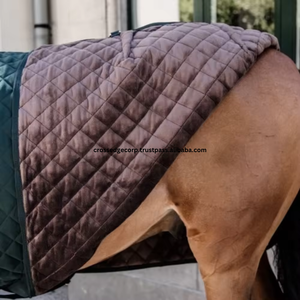 Chất Lượng Cao Ngựa Thảm Windproof Thảm Thời Tiết Lạnh Combo Ngựa Turnout Chăn Cưỡi Ngựa Thiết Bị Ngựa Thảm Cho Ridding - Product Image 3