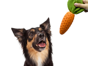 Jouet à mâcher pour chien en coton et silicone écologique moderne, corde qui couine, jouet pour animaux de compagnie, soulagement du stress, réutilisable, léger, toutes saisons, chiots - Product Image 6