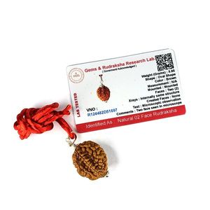 Colgante de Rudraksha Certificado de 2 Mukhi para la Armonía, el Equilibrio Emocional y la Paz Interior - Product Image 1