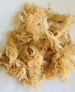 Exportation d'algues séchées de haute qualité d'un fournisseur vietnamien - Product Image 5