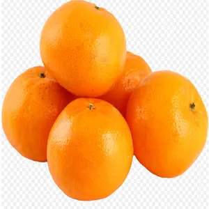 Compradores de naranja fresca mandarina fresca para la venta al por mayor deliciosas naranjas cítricas frescas dulces para la venta