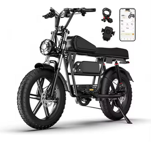 T73 Series <b>Electric</b> <b>Bike</b> <b>Adults</b> 1000W/1500W/3000W Rear Hub Motor 30-50Km/h 34-120 Miles 48V15.6/41.6 AH Open Body 2 Passengers - Product Image 1