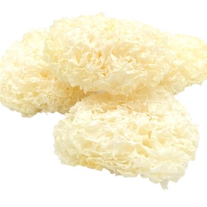 เห็ดหิมะจำนวนมากสำหรับทำอาหาร เห็ดหิมะ อาหารพิเศษของเวียดนาม - Product Image 5