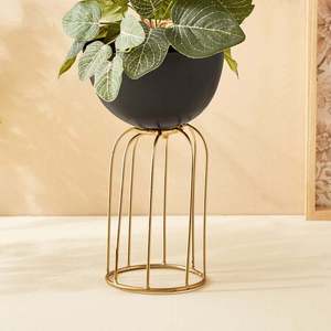 Hermosas macetas verdes prósperas para uso en interiores y exteriores Macetas sostenibles ecológicas elegantes para la vida moderna - Product Image 1