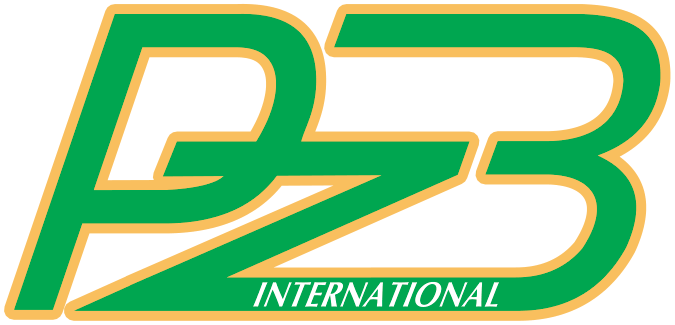 PZB INTERNATIONAL LTD logo