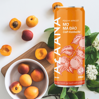 Kombucha Thee Huidverzorging Goede Prijs Fruit Gearomatiseerde Vitamine Goed Alcoholvrij Klaar Om Te Drinken Gemaakt In Vietnam Fabrikant