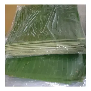 Frozen And Fresh Natural Green Banana Leaf To Wrap Food - Top Supplier IQF Frozen Vegetables From Vietnam