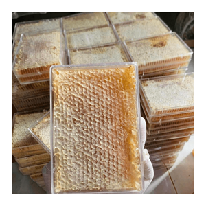 Fresh Golden Honeycomb-Tratamiento natural de Vietnam nueva cosecha con calidad superior y buen precio - Product Image 2