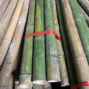 Postes de Bambú de Alta Calidad para Cercas Exteriores |   Fuerte, Ecológico y Duradero |   Suministro OEM ODM - Product Image 6