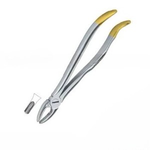 คีมถอนฟัน Fig.1พร้อมทองสแตนเลสสตีลเครื่องมือทันตกรรม - Product Image 5