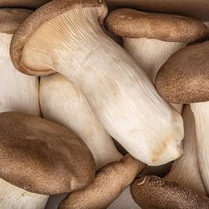 Champignons frais surgelés nutritifs et délicieux à vendre en gros - Product Image 1
