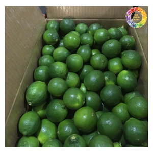 100% มะนาวไร้เมล็ดสีเขียวธรรมชาติ, มะนาวส้มสด, มะนาวสดธรรมชาติสำหรับทำน้ำผลไม้และค็อกเทล - Product Image 3