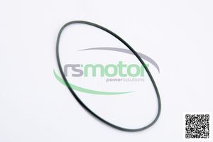 Joint torique pour RS-02092097 MWM pour pièces de moteur de machines - Product Image 6