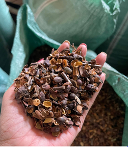 EXPORTATION DU VIETNAM CAFÉ DE QUALITÉ SUPÉRIEURE en VRAC/PRODUIT au VIETNAM/MEILLEUR PRIX - Product Image 5