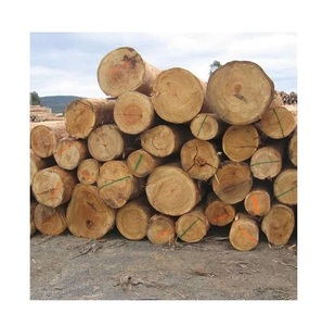 Troncos redondos de eucalipto-Madera de alta calidad para la construcción - Product Image 1