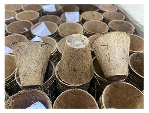 100% ECO FRIENDLY COCO ARCILLA DE FIBRA DE COCO BIODEGRADABLE COIR CRECER PLANTA DE VIVIERNO DEL PROVEEDOR VIETNAM - Product Image 5