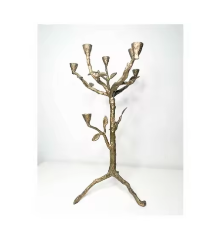 ตามที่แสดง