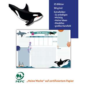 Tablero de Dibujo Desmontable del Mundo Submarino Hecho de Cartón - Product Image 3