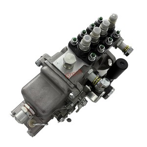 新型Kipor KD488柴油发动机喷油泵4PL1169 BHF4PL080040 - Product Image 3