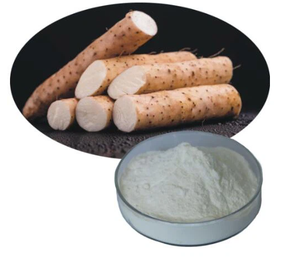 LA MEJOR CALIDAD Y PRECIO YAMS POLVO DE VIETNAM PROVEEDOR EN EXPORTACIÓN MAYORES - Product Image 4