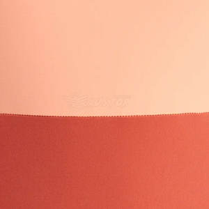 Logo personnalisé OEM service maillot de bain meilleure qualité vente en gros femmes maillot de bain dernière conception - Product Image 5