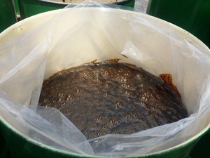 Melaza de Caña de Azúcar de Grado Alimenticio a Granel para la Producción de Alimentos para Animales, Nutrición de Ganado y Mercado de Exportación - Product Image 4