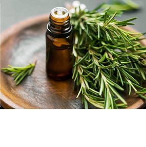 Extracto de hierbas de aceite esencial de Romero cultivado en estado salvaje empaquetado en botellas, latas, tambores de la India - Product Image 1