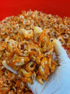 ผลิตภัณฑ์กุ้งอบแห้งเทมปุระผักยอดนิยมผลิตภัณฑ์กุ้งสดแช่แข็ง - Product Image 3