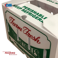 DAT THUAN Vente en gros de boîtes en carton ondulé en plastique PP américain de haute qualité, fabriquées à partir de matériaux recyclés, pour l'agriculture, le stockage de légumes et d'aliments pour animaux
