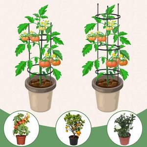 60 cm de haut métal jardin Art treillis fleur Supporter et plante Support Cage piquets pour plantes grimpantes et culture de tomates - Product Image 4