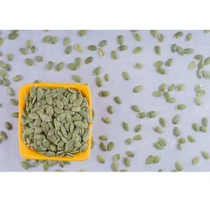 Bulk Supplier of Best Quality Pumpkin Seed Extract From Natural Pumpkin Seed from India for Export at Wholesale Price