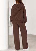 Ensemble de survêtement pour femme, taille normale et grande taille, style hip-hop, 2 pièces, doux, pour l'automne et l'hiver, sweat-shirt à capuche, pantalon de survêtement à jambes larges, uni ou imprimé