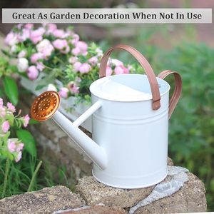 Perfect Pour Elegantes regaderas para sus plantas Nutre la naturaleza: regaderas esenciales para verduras saludables - Product Image 6