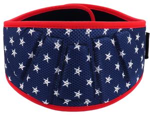 Custom Made Fitness Weightlifting Neoprene <b>Belt</b> Fitness Workout Double Support Brace <b>Powerlifting</b> and Bodybuilding Gym Training - Product Image 1