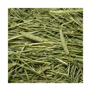 Higher Protein Alfalfa Hay/Timothy Hay en venta - Product Image 1