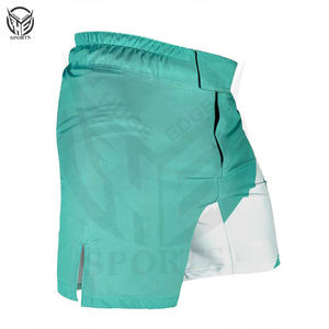 Pantalones Cortos de Boxeo para Hombre con Estampado Personalizado de Nuevo Estilo / Pantalones Cortos Transpirables para MMA / Pantalones Cortos de Boxeo Personalizados. - Product Image 2