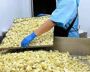 Vietnam Freeze Dried Durian | Factory Direct Bulk Supply - Product Image 2