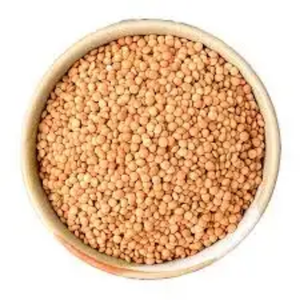 Lentilles vertes, rouges et jaunes séchées biologiques, emballage en vrac, haute qualité - Product Image 1