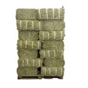 Fardos de heno de alfalfa de excelente grado, alimento para animales para perros de ganado, aves de corral, peces, cerdos a la venta - Product Image 3