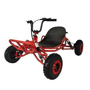 Karts eléctricos y de gasolina de 200cc y 4 tiempos de alta velocidad para adultos a la venta - Product Image 2