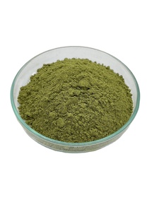 Extracto de polvo de Moringa, polvo de hoja de Moringa de alta calidad de Tailandia, extractos de hierbas en polvo, extractos y esencias de hierbas - Product Image 3