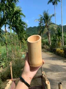 Tasse à café en bambou naturel personnalisée, écologique, réutilisable, mug en bambou en gros, Vietnam - Mme Tarina - Product Image 1